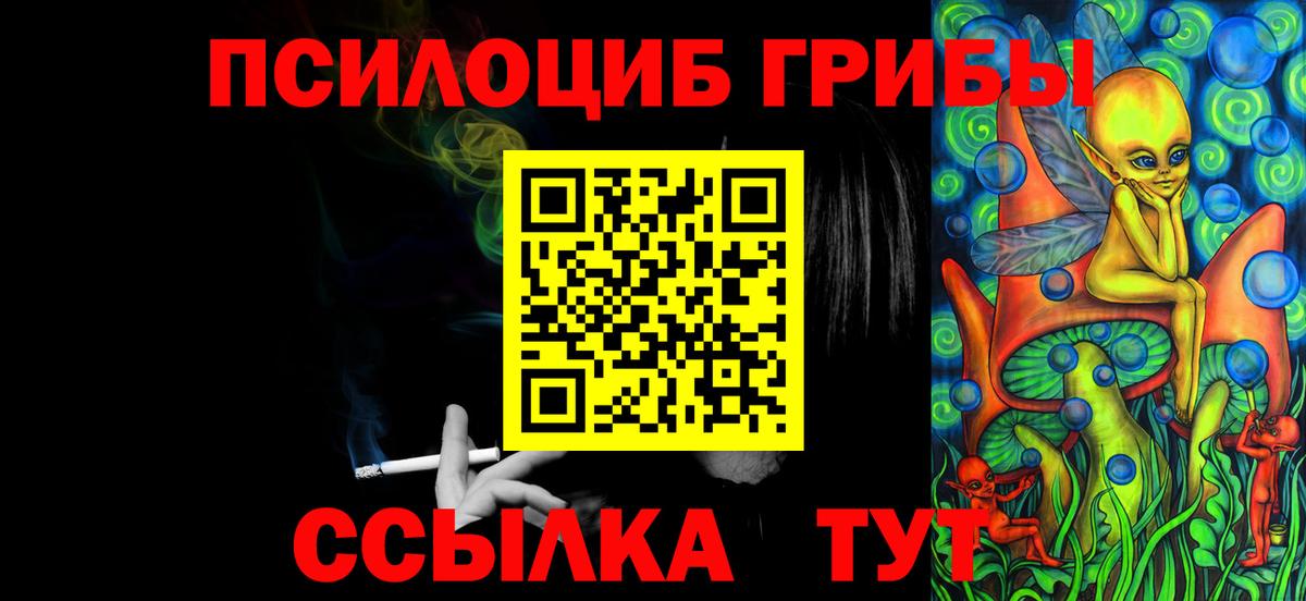 Псилоцибиновые грибы Psilocybine cubensis  Вход с VPN  Ачинск 