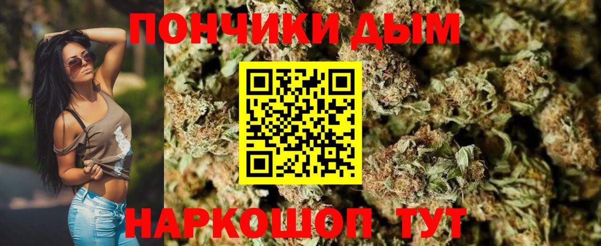 Каннабис сатива  Вход с VPN  Ачинск  Канабис план  Конопля планчик 